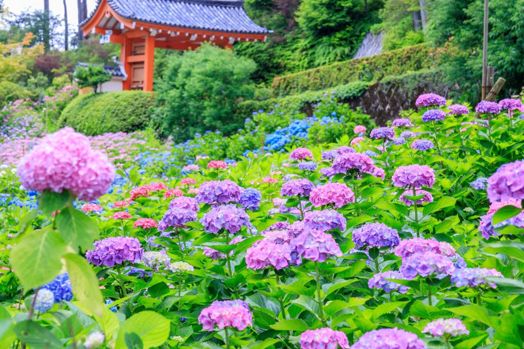 Mimaru Suites Kyoto Shijo Zewnętrze zdjęcie